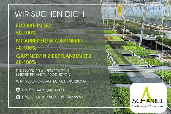 Arbeiten wo andere Ferien machen Arbeiten wo andere Ferien machen