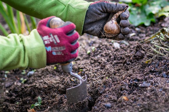 Herbstarbeiten für einen bunten Frühling  