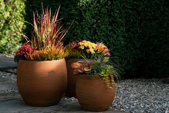 Herbstbepflanzung Garten und Terrasse farbenfroh gestalten  