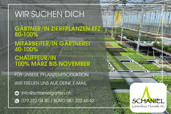 Arbeiten wo andere Ferien machen Arbeiten wo andere Ferien machen